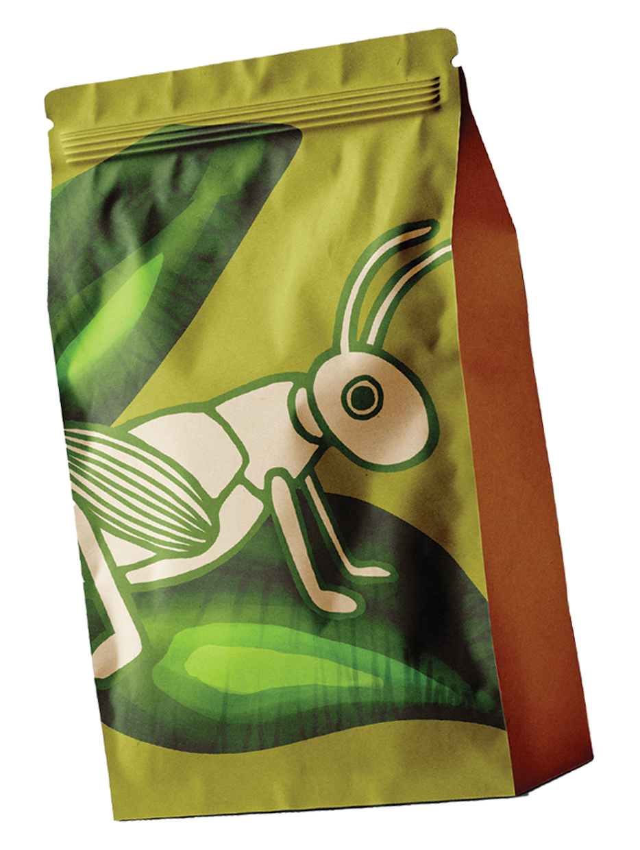 Packaging Entomophagie Test