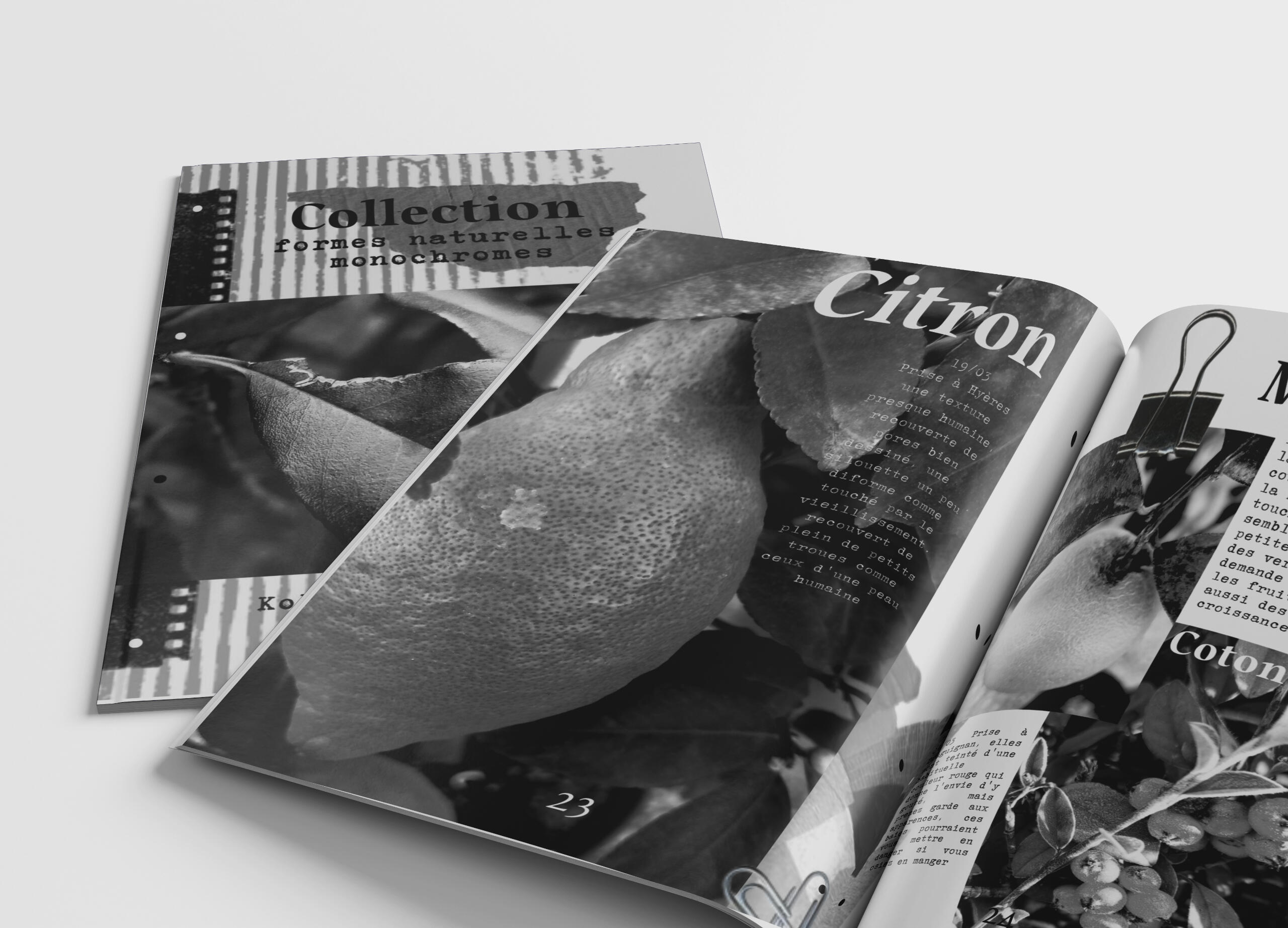 Recueil monochromes photos